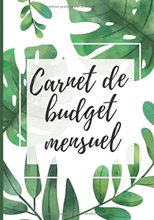 carnet de budget mensuel: carnet de compte|livre de compte familial,personne,entrepreneur et auto entrepreneur|gestion et planificateur de ... budget et gestion des dépenses