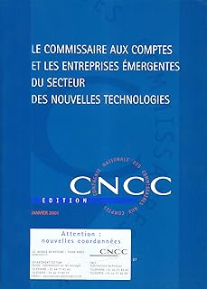Le Commissaire Aux Comptes Et Les Entreprises Emergentes Du Secteur Des Nouvelles Technologies